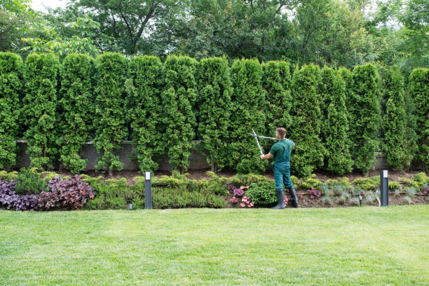 Best Pest Control for Lawns  in Queens Gate, PA