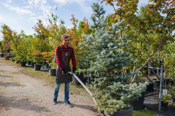 Best Hazardous Tree Removal  in Queens Gate, PA